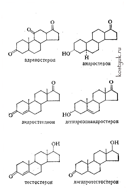 Наиболее распространенные андрогены