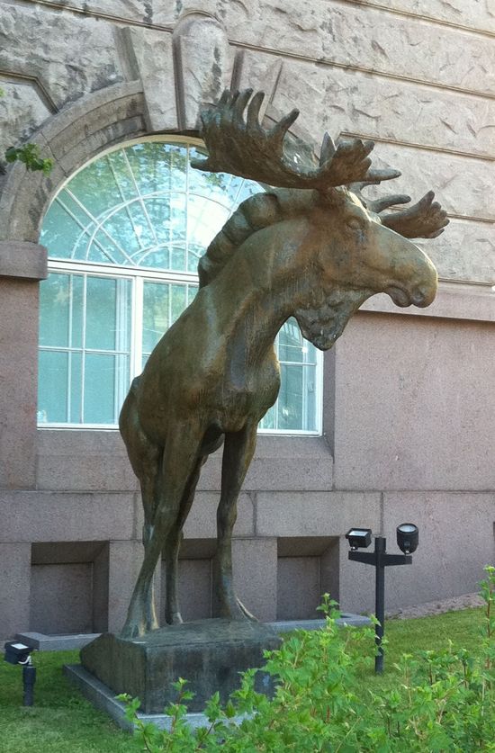 Биологический музей